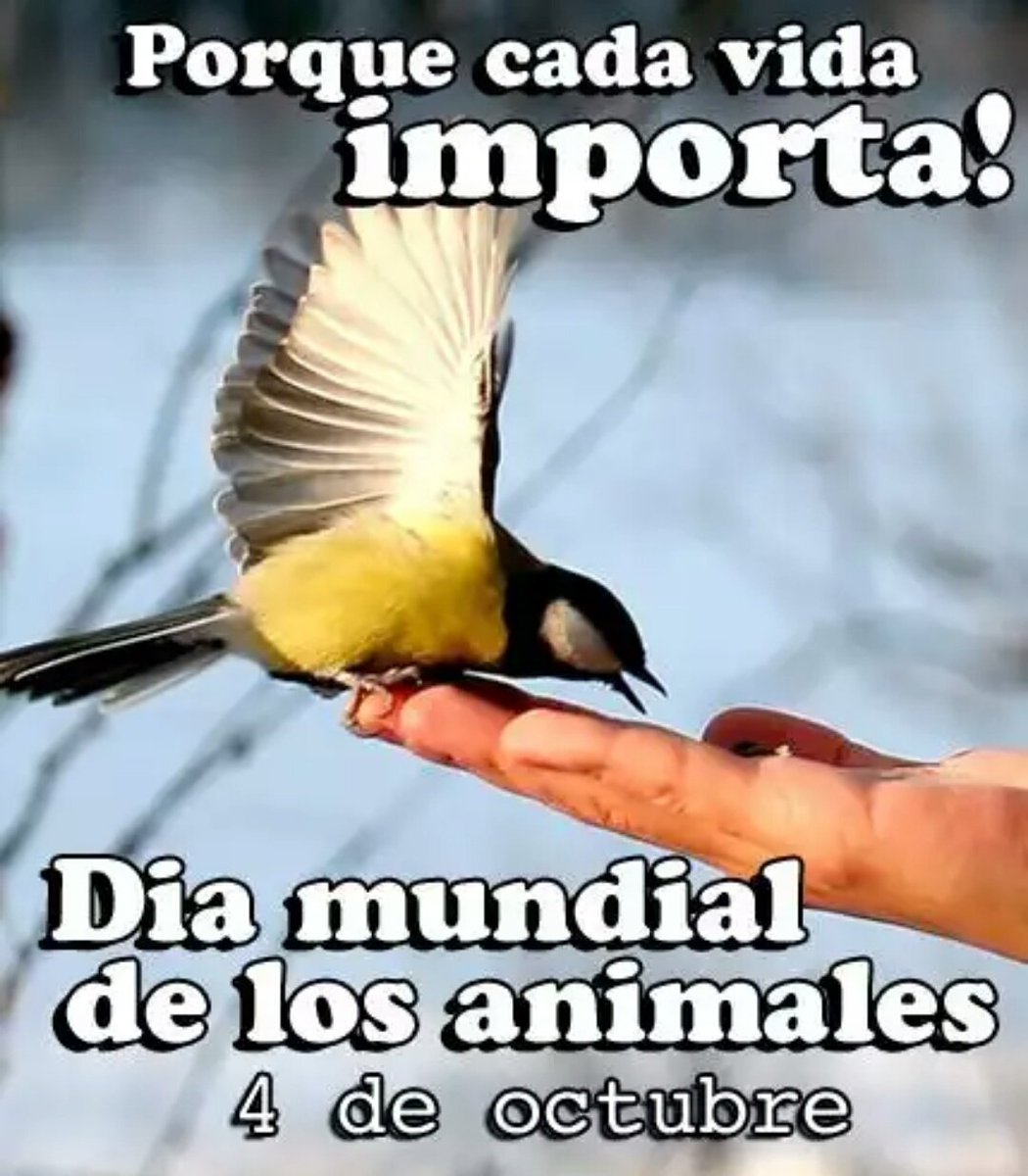 loreppt tweet picture