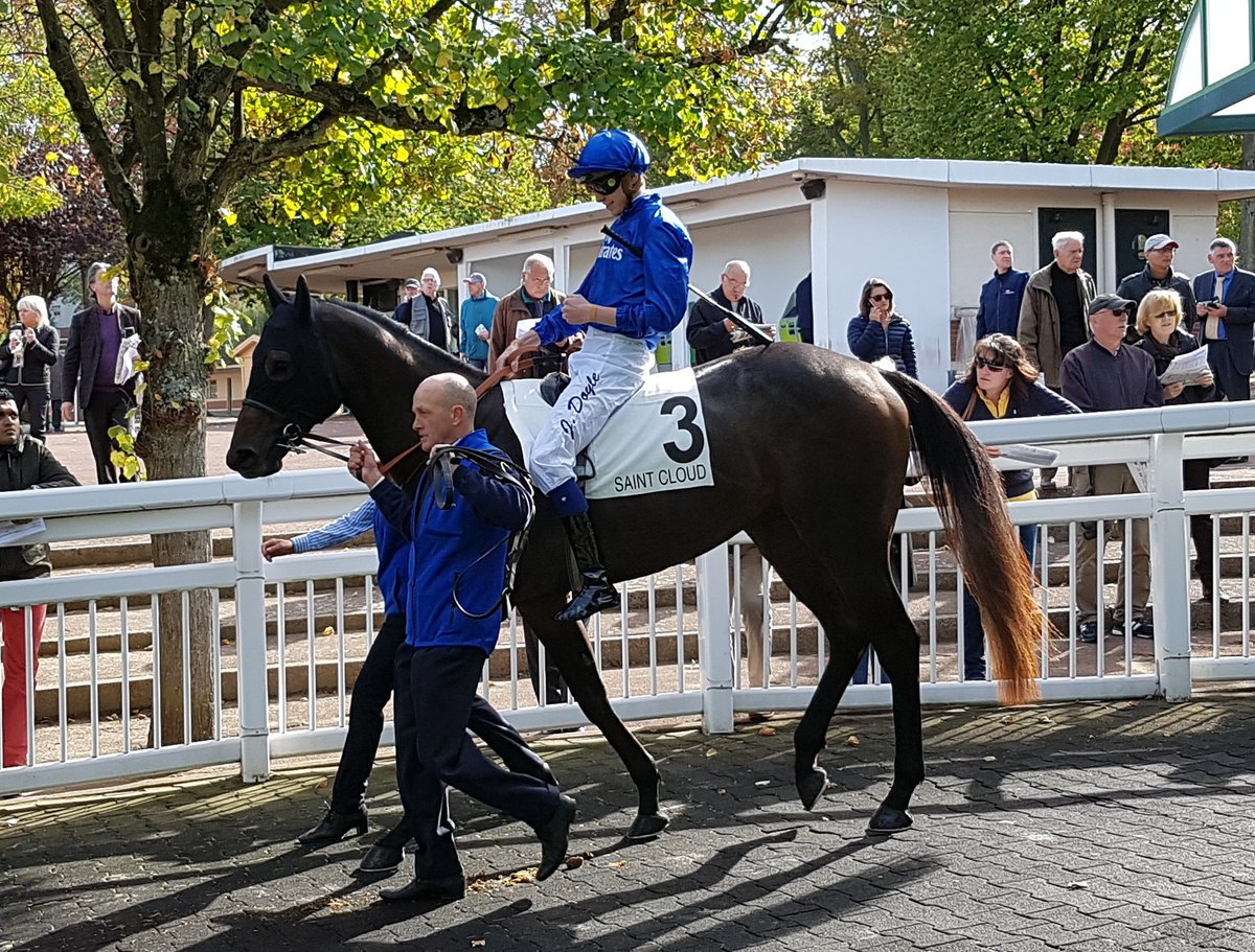 seenthestars's tweet photo. G3 Prix Thomas Bryon at Saint-Cloud #Aqabah #AlbaPower #HighDreamMilena #ColdStare https://t.co/sacu4h05zP