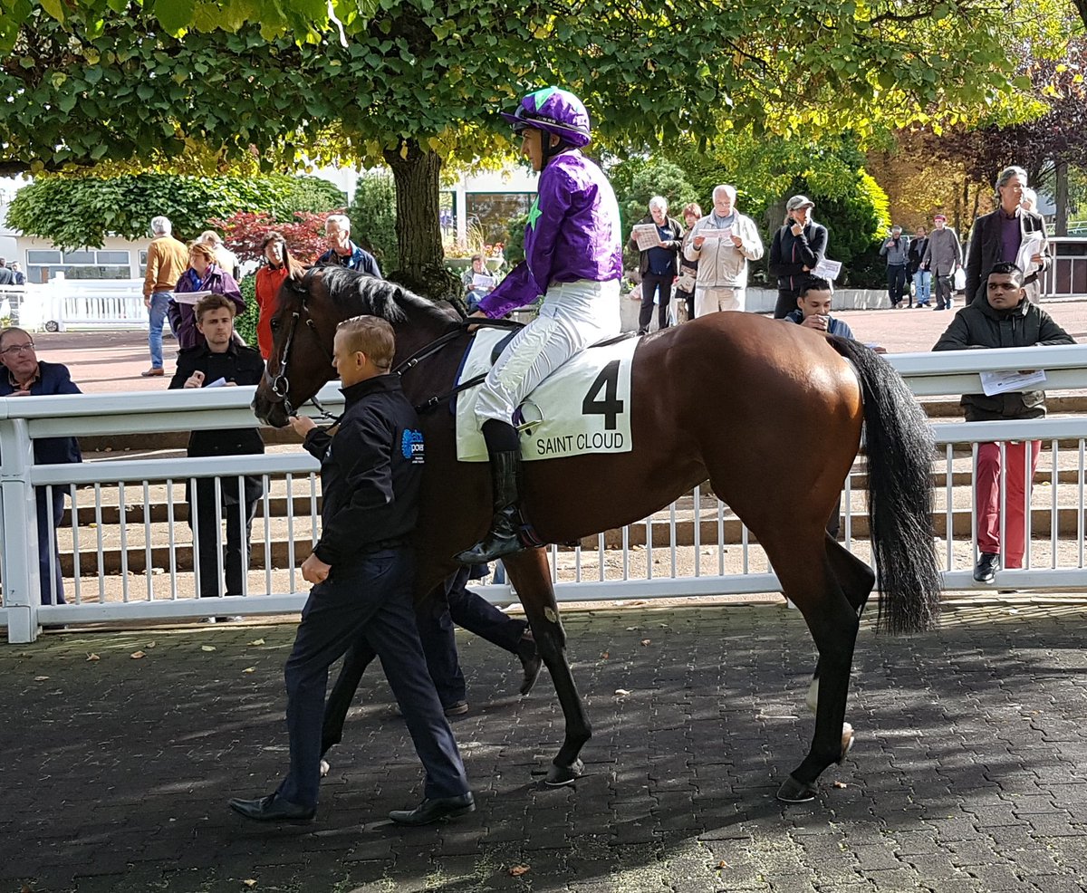 seenthestars's tweet photo. G3 Prix Thomas Bryon at Saint-Cloud #Aqabah #AlbaPower #HighDreamMilena #ColdStare https://t.co/sacu4h05zP