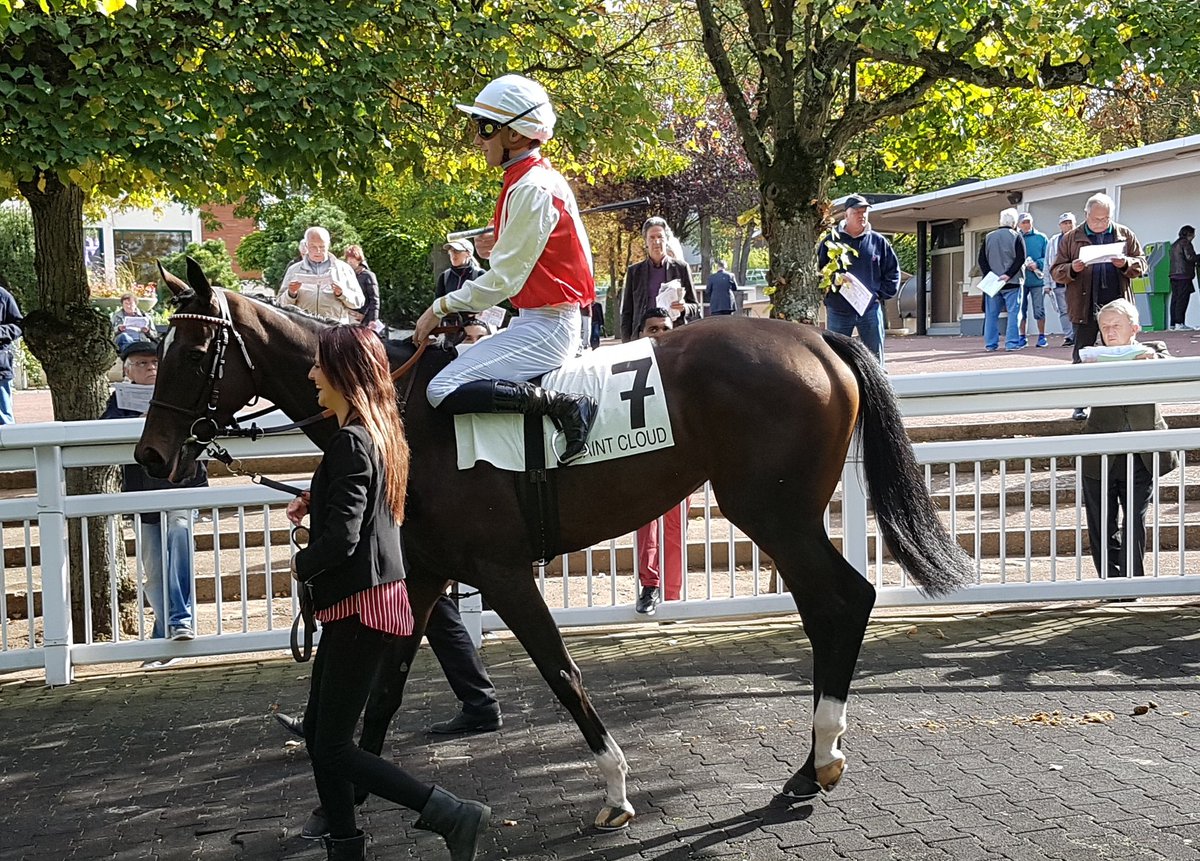 seenthestars's tweet photo. G3 Prix Thomas Bryon at Saint-Cloud #Aqabah #AlbaPower #HighDreamMilena #ColdStare https://t.co/sacu4h05zP