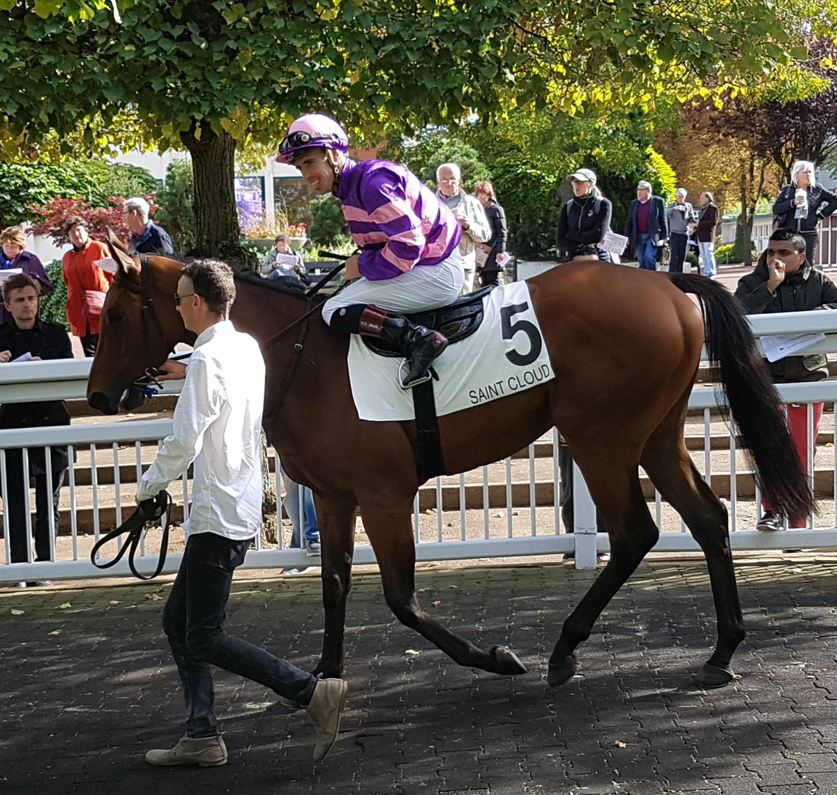 seenthestars's tweet photo. G3 Prix Thomas Bryon at Saint-Cloud #Aqabah #AlbaPower #HighDreamMilena #ColdStare https://t.co/sacu4h05zP