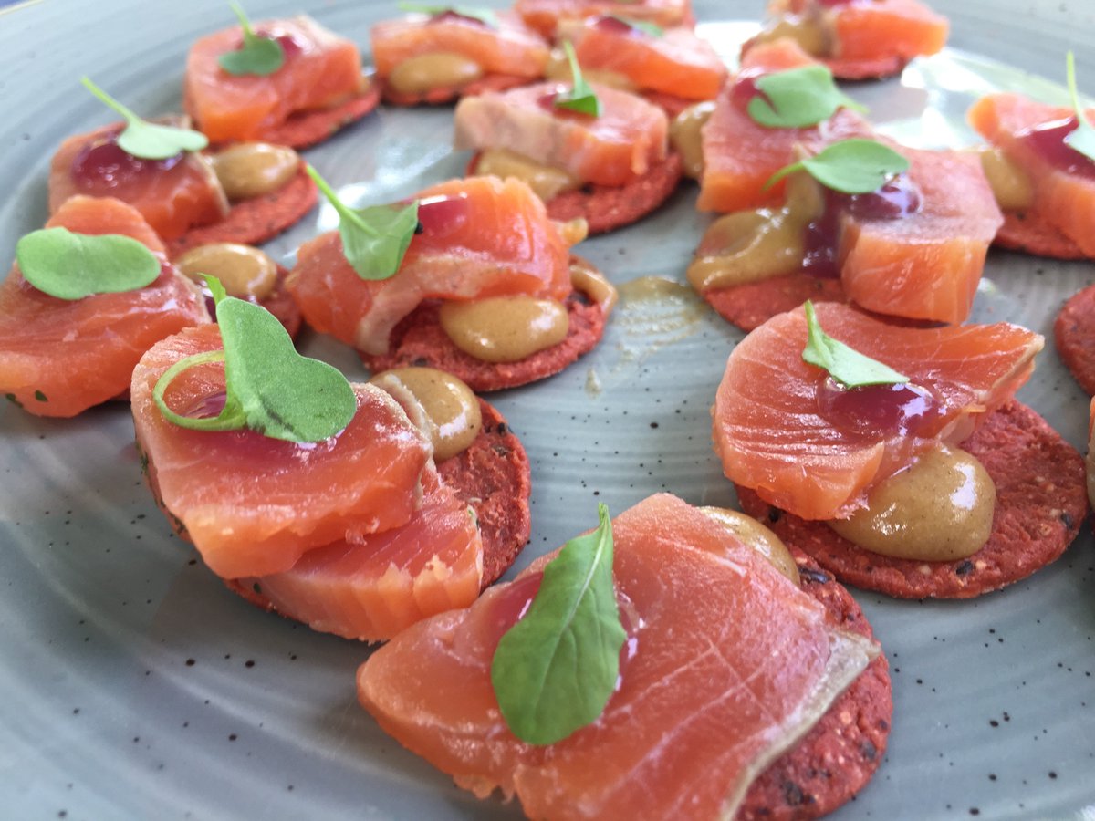 RATIONAL_AG's tweet photo. 35 fillets in 75 min. Smoked Salmon with maple, ginge, cinnamon butternut squash purée, pomegranate reduction &amp; beet &amp; corn chip @RideauHall https://t.co/jYelXwIXB9