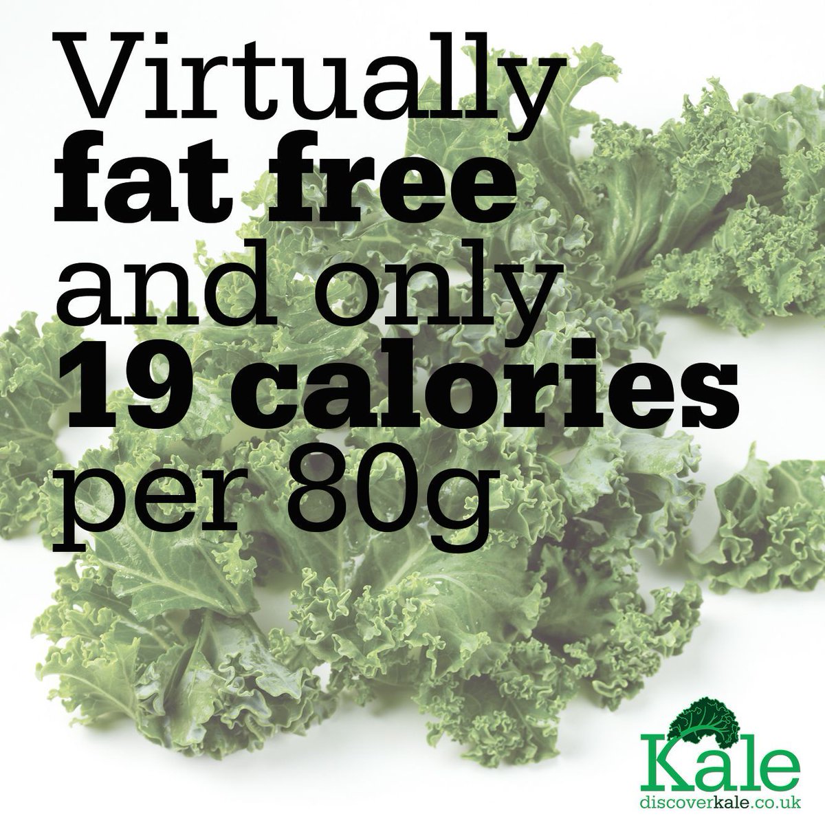 DiscoverKale's tweet photo. It's not only delicious, it's also packed with the good stuff! Just another reason to cook with this brilliant brassica! #kaleday2017 https://t.co/ntkdjpE4oH