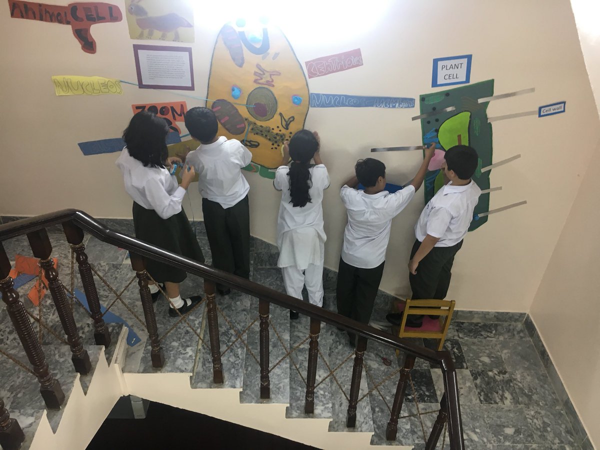 HilaaMukaddam's tweet photo. #pyp5 sharing their learning abt cells #studentvoice #studentaction #pypchat @tmirza66 @ibpyp https://t.co/w5D0Tl9wL3