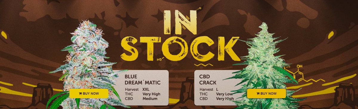 Fast_Buds's tweet photo. Something BIG just dropped... #CBDcrack #BlueDreamMatic only at https://t.co/FhbrKGaPSQ #autoflowers https://t.co/s0v7JLZfQt