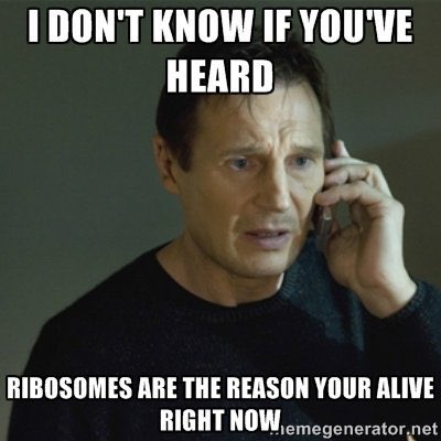 riboribosome's tweet photo. @Plastwin17 @mr_graba Without our presence, plants AND animals would die because proteins and enzymes wouldn't be created! https://t.co/2M1dRdbBdT