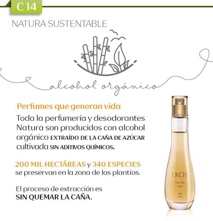 Natura Toluca on Twitter: \