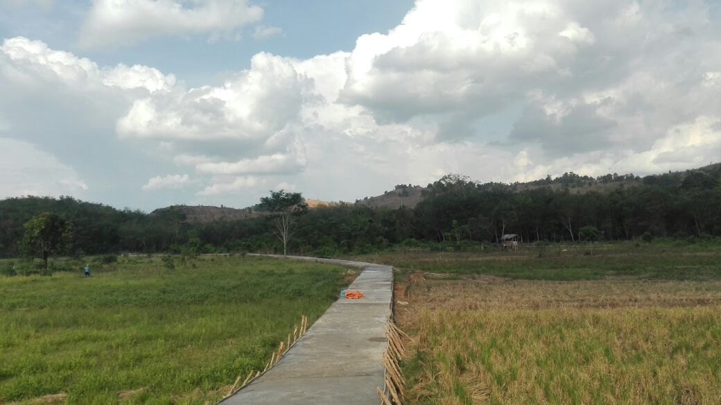 dendonie717's tweet photo. Jalan impian petani bisa terwud #BerkahDanaDesa Di Desa Tarungin  @jokowi  @EkoSandjojo  @taufikmadjid71 @KemenDesa @BappenasRI https://t.co/dMol6B2xnl