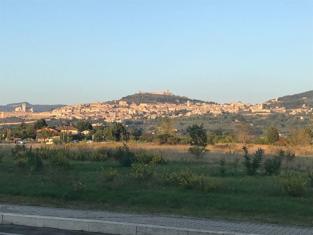 San Francesco d'Assisi prega per noi