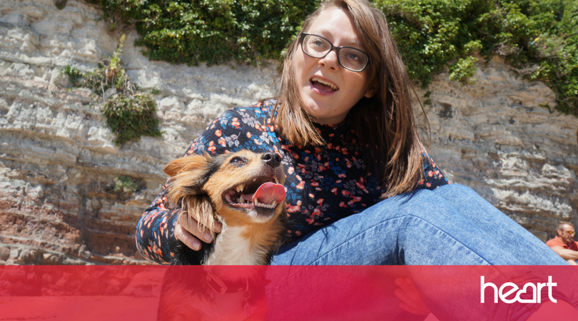 LBCNewsWales's tweet photo. A woman from #Cwmbran has set up "Dog Furiendly" - a website to list shops and pubs in Wales where you can take your pet! 🐕 #HeartNews https://t.co/EiYqpfQfR3