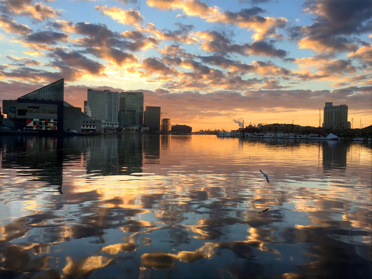 WFTechseries's tweet photo. #WaterfrontTech Series Episode 2 is today! See you soon & enjoy the sunrise! https://t.co/DDljgIzvCL @baltimoresun https://t.co/BCam5z6bds