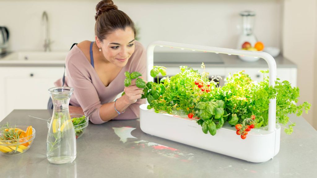 MakerFaireRome's tweet image. Una vera rivoluzione #agricola: ecco l'#IndoorFarming per coltivare il proprio orto a casa!goo.gl/nA4XMj @Ffoodinstitute #MFR17