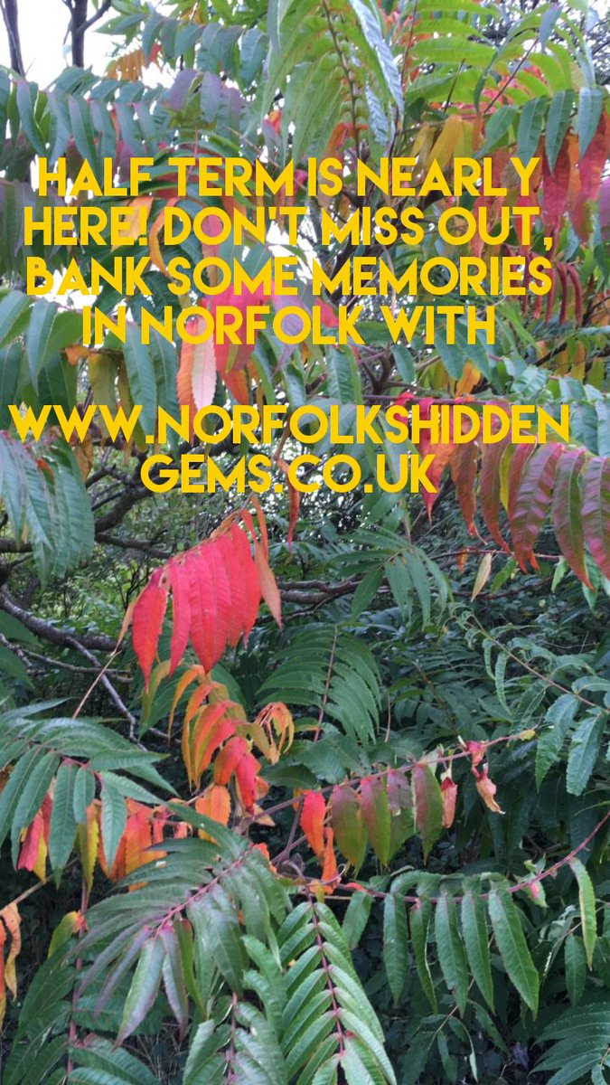 SilvercottageUK's tweet photo. Half Term is coming! Call now and book, it's not too late! Norfolk is the place to see Autumn in. https://t.co/A3ItoJQ97t