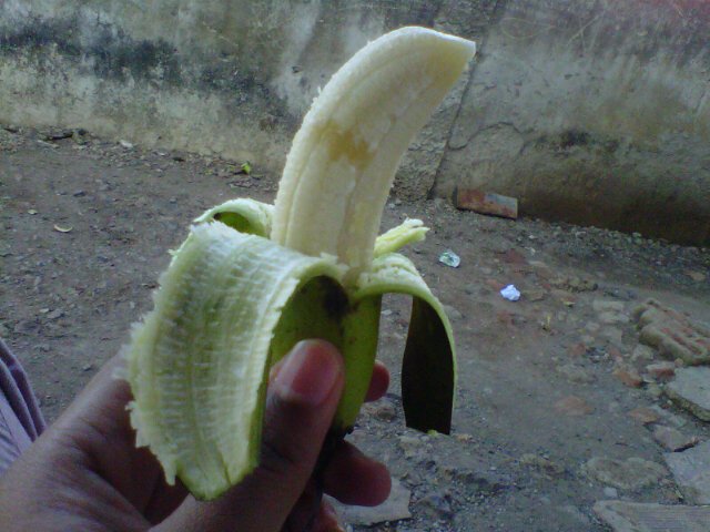 Apal?
