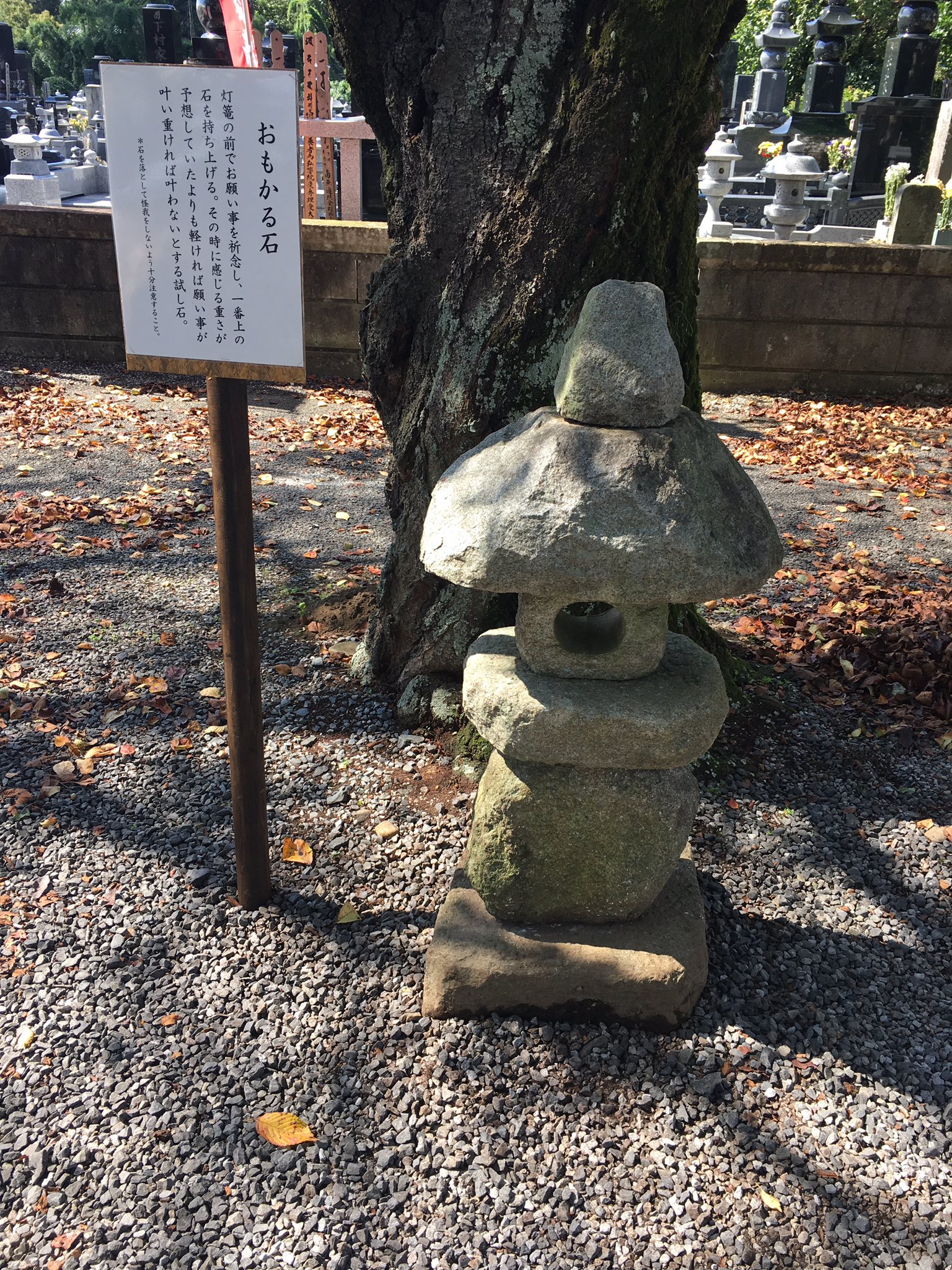 下野厄除大師 七五三祈願 おもかる石を参道脇へ移設しました ぜひお試し下さい おもかる石とは 願いを込めて石 を持ち上げて感じる重さが予想よりも軽ければ願い事が叶い 予想よりも重ければ叶わないとする試し石です 落として怪我がないよう注意 下野厄除大師 七五三祈願 おもかる石を参道脇へ移設しました ぜひお試し下さい おもかる石とは 願いを込めて石 を持ち上げて感じる重さが予想よりも軽ければ願い事が叶い 予想よりも重ければ叶わないとする試し石です 落として怪我がないよう注意
