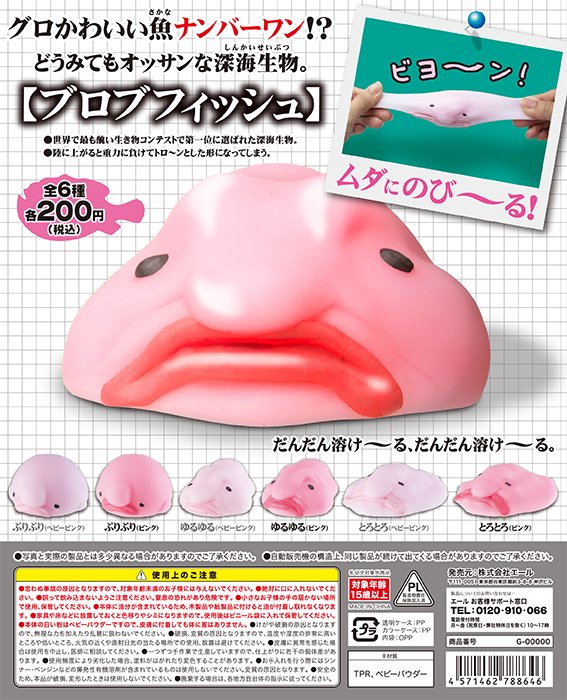 ブロブフィッシュ Hashtag Pa Twitter ブロブフィッシュ Hashtag Pa Twitter