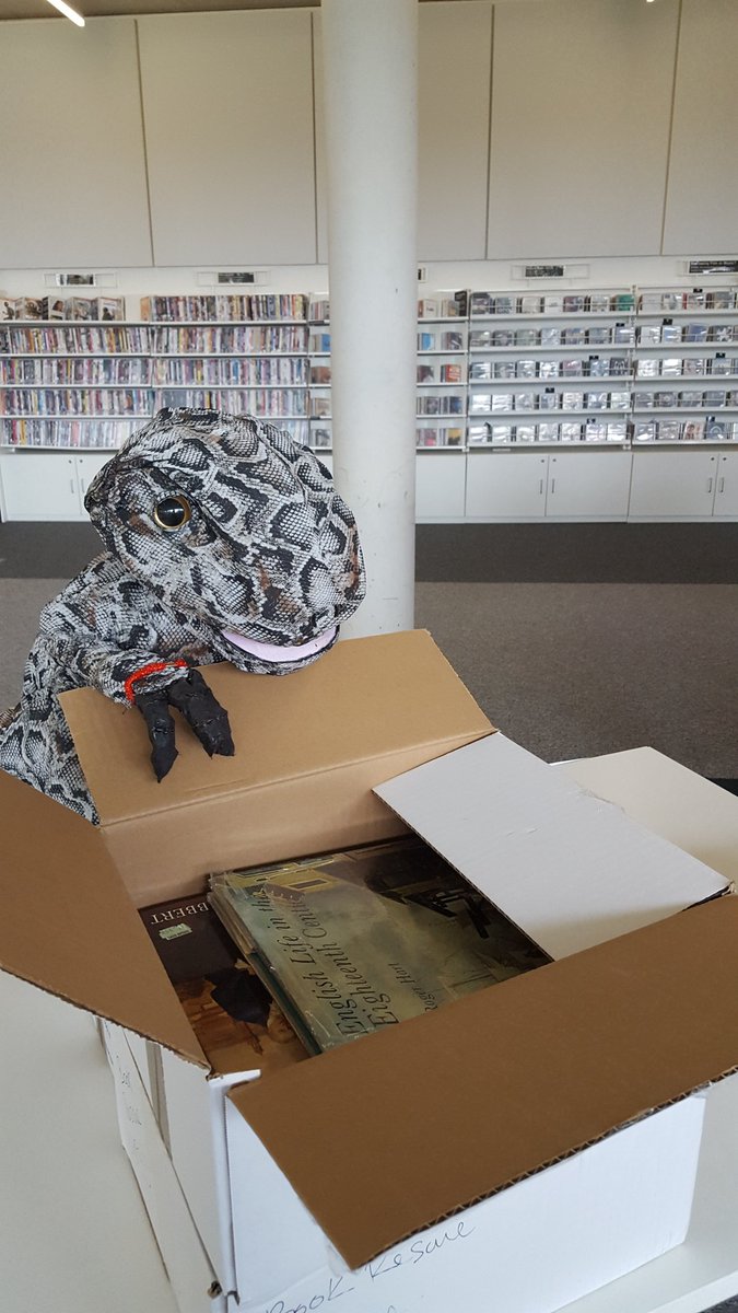 reffieraptor's tweet photo. Unpacking is underway. Good golly what a lot of books! #GreatHiveBookRescue https://t.co/ZjgcVBJ8nW