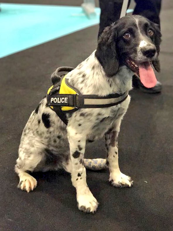 British Transport Police tweet media