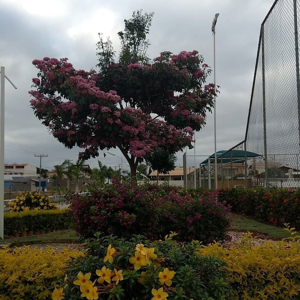 abagetti's tweet image. #belezanossadecadadia #opoderdoagora bit.ly/2fIVQej