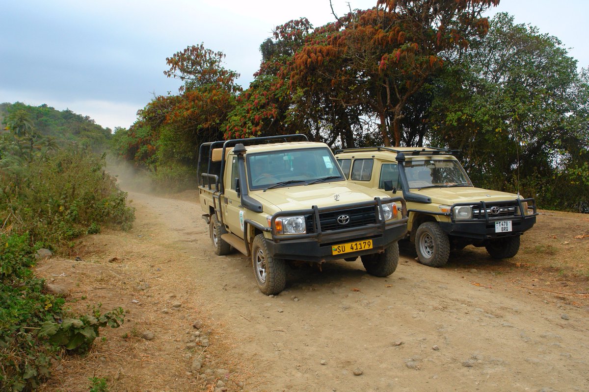 GetSafaris's tweet photo. #WorldAnimalDay
Tanzania Green Eco Tour Safaris 
"Sustainable Eco Tours Beyond Nature" 
#Tanzania #wildlifeWednesday
https://t.co/WEyr5TmY3n https://t.co/MoZu8JDLvo
