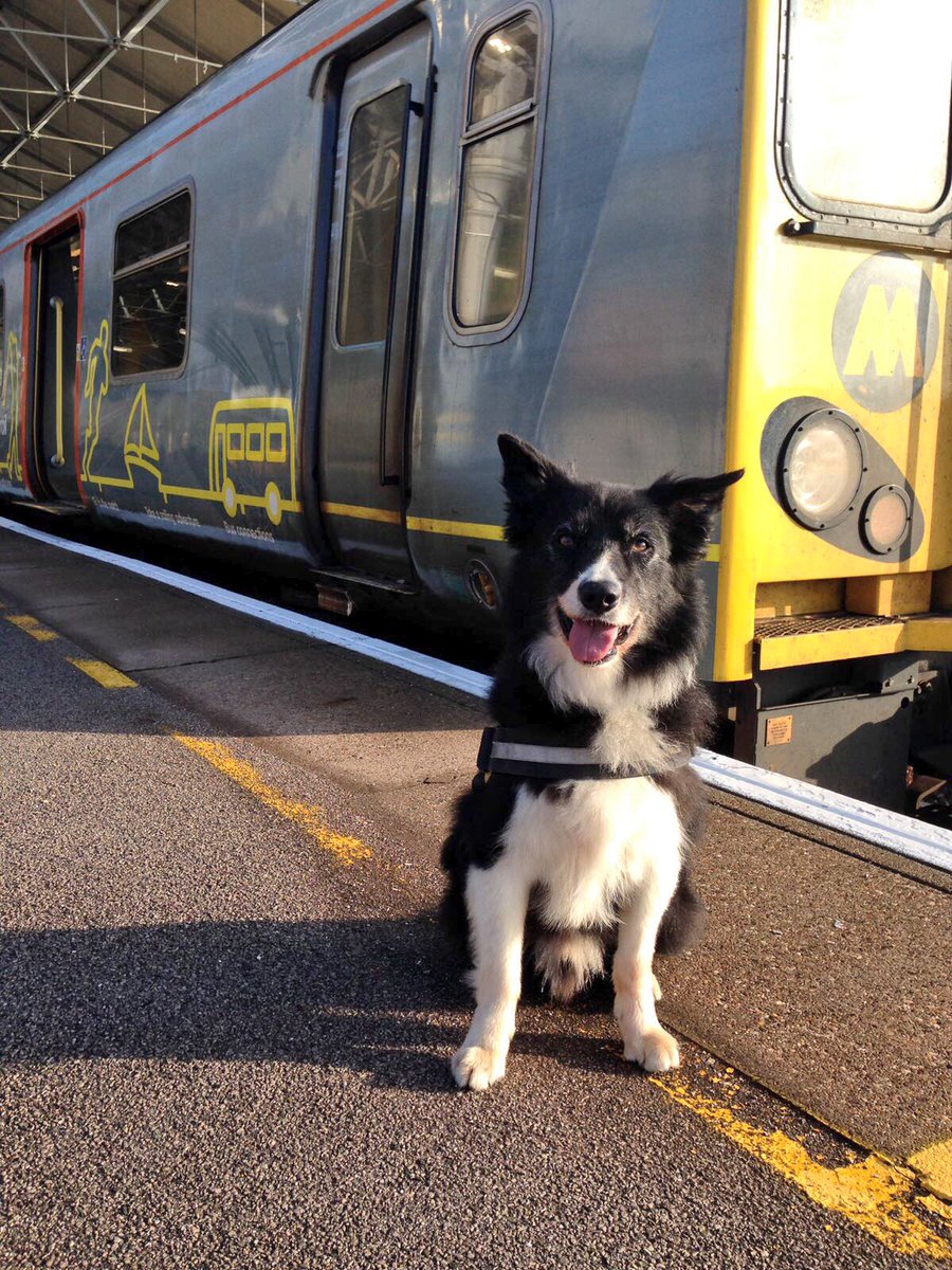 British Transport Police tweet media