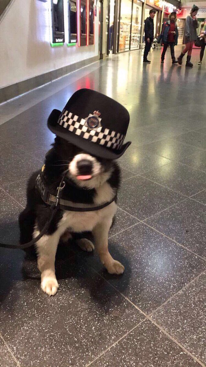 British Transport Police tweet media