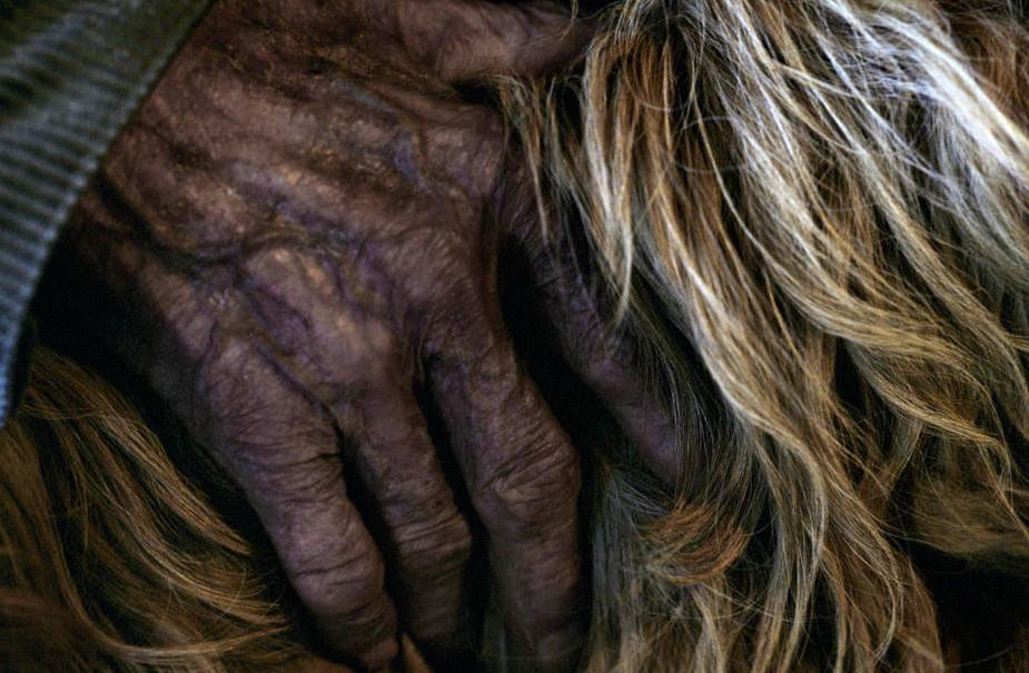 New Scientist tweet media