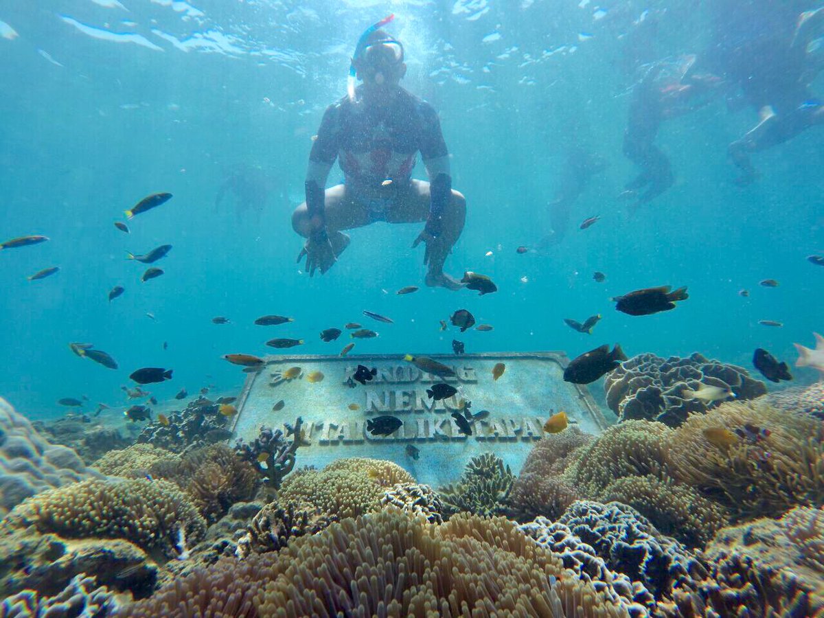 dnbgsp's tweet photo. Snorkeling #giliketapang #probolinggo #visiteastjava #shorttrip #indonesia https://t.co/OlELQ2YOwu