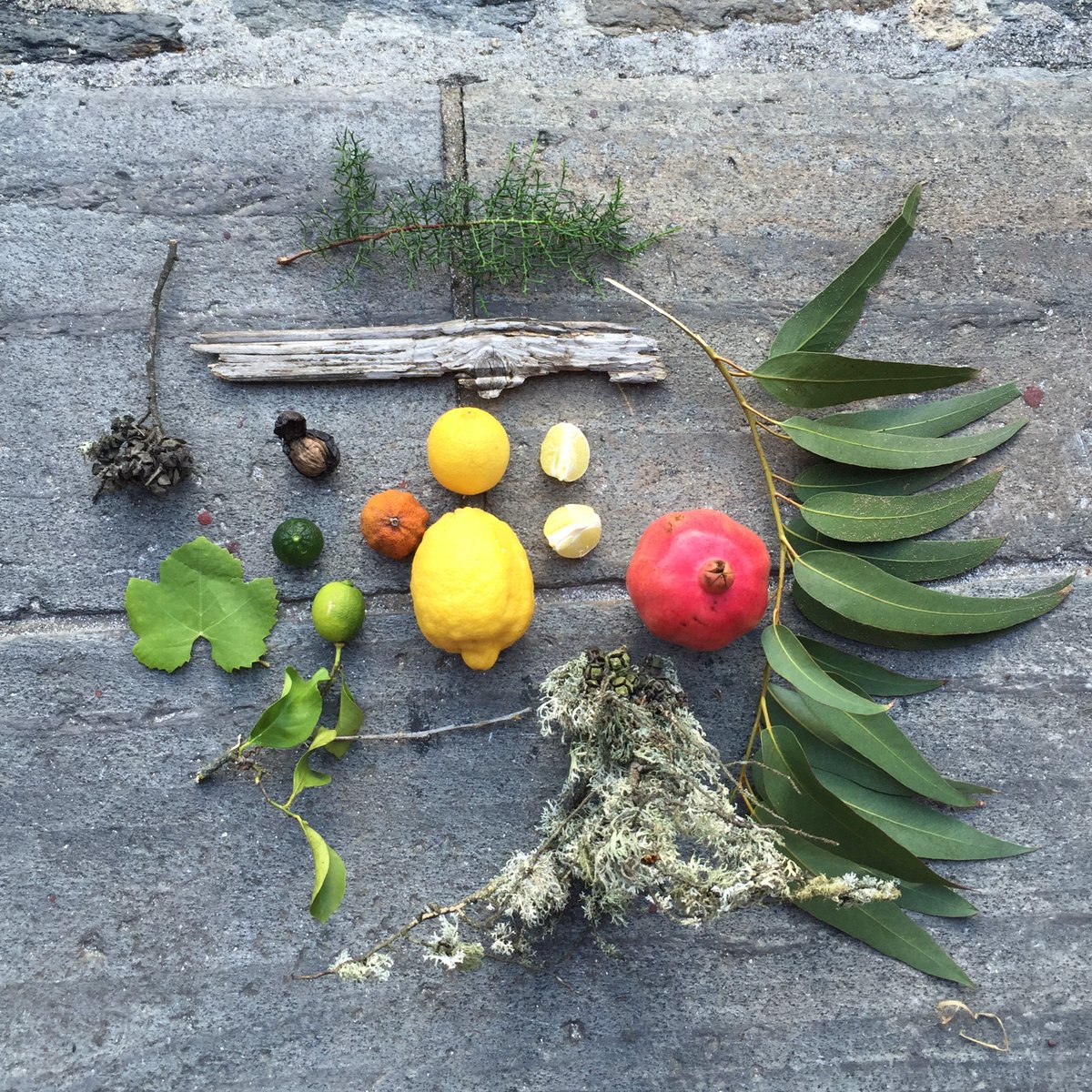 Curious about Le Parfum? Visit one of our stores and we'll tell you all about it.
#ClausPorto #newfragrance #limitededition #portugal