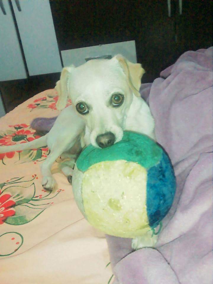 I'm at Banco santander swarmapp.com/c/2vbufuBufeJ