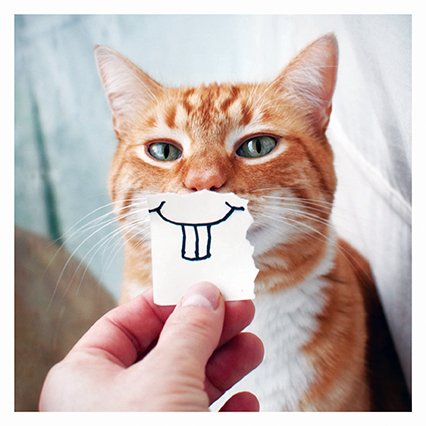 Happy #WorldAnimalDay Gahd, animals are great, aren't they?