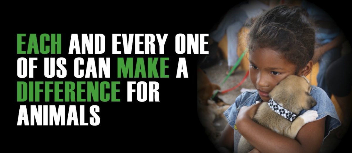 Today is World Animal Day - worldanimalday.org.uk