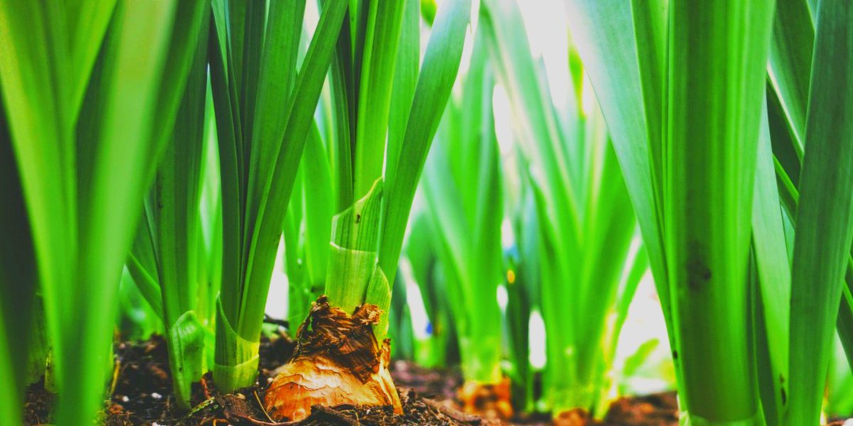 TraceandSave's tweet photo. Carbon farming is one of the best ways to combat #ClimateChange #CarbonFarmers
https://t.co/iVf9BsYvHb https://t.co/QZtHQBxLR9