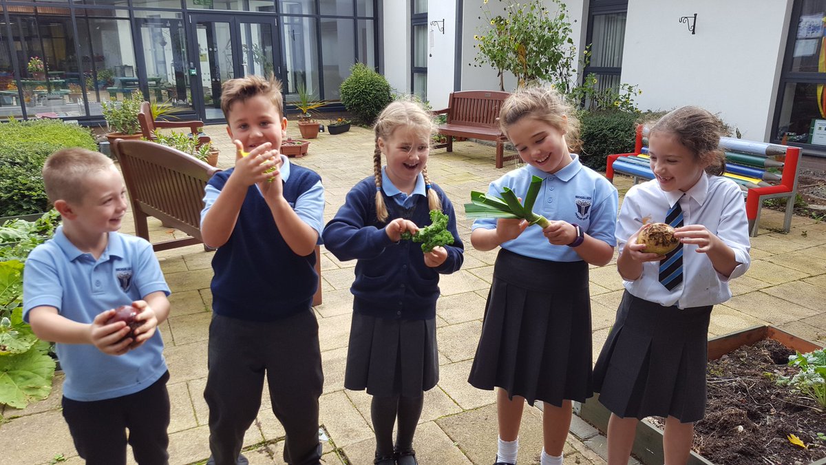 Rochsolloch_Pr's tweet photo. P3/4's turn to use the vegetables from the garden to make vegetable soup. #healthy #beetrootred https://t.co/lsJF3XKkLe