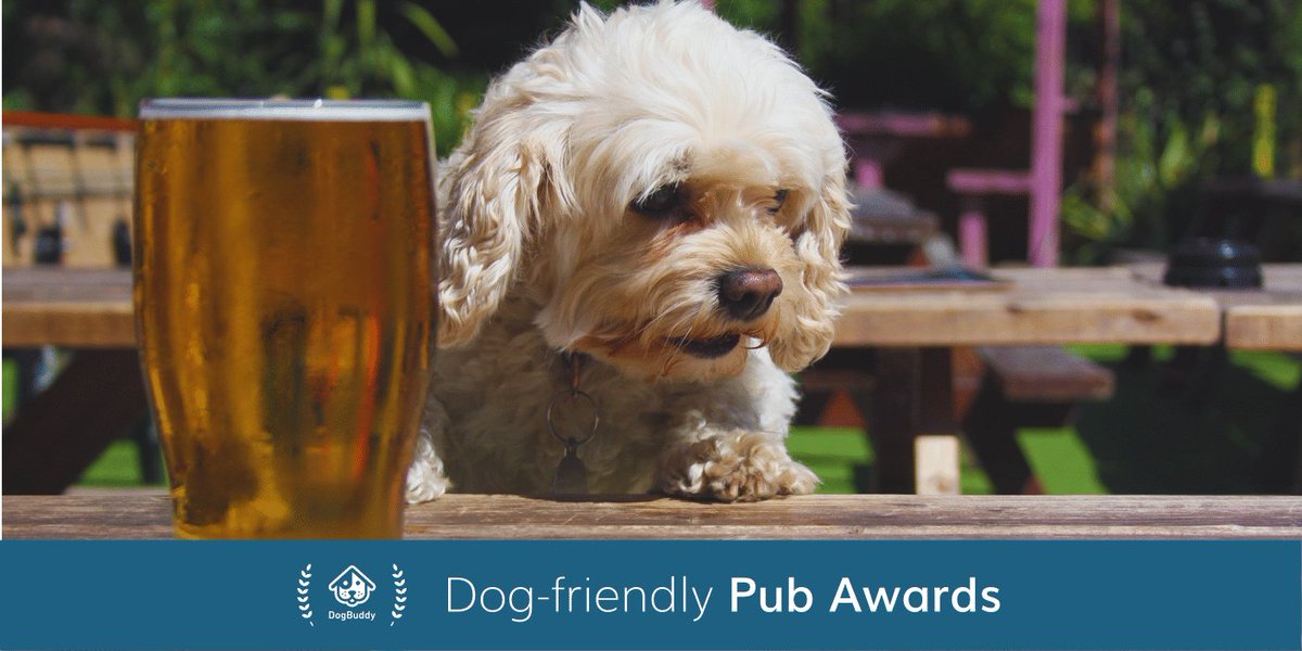 Big woofs to @runapub for supporting the 2017 Dog-friendly Pub Awards! Vote for your favourite today: https://t.co/Ts8Qzlbe9y #dogbuddypubs https://t.co/TO5vTK1KnG