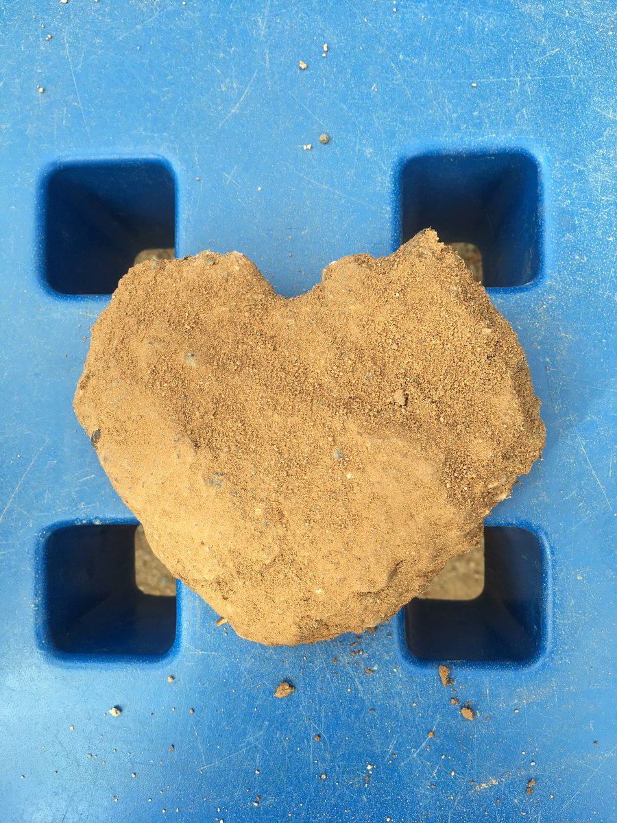 annamricol's tweet photo. A l'espai del #jardi també hi ha  #descoberta #motricitat #creativitat #investigacio #covivencia ... #infantil @SagratCorSarria https://t.co/E9xDhIDT9i