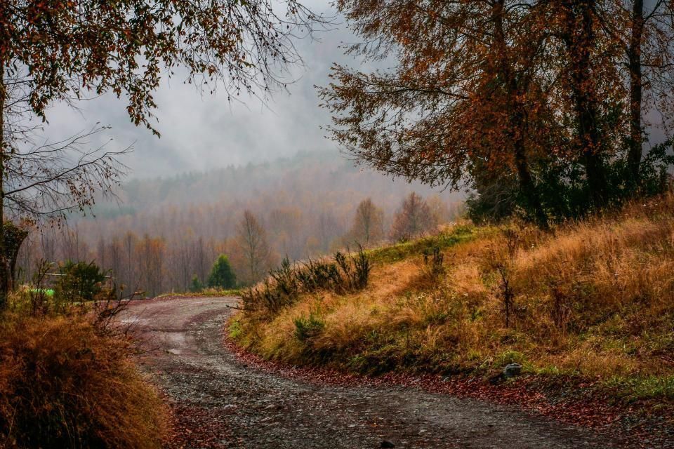 OLPRO's tweet photo. Love #Autumn - wrapping up warm, hot chocolate, darker evenings cosying up by the fire...and it's not too late to go camping or hiking! https://t.co/bxPv8JugyH