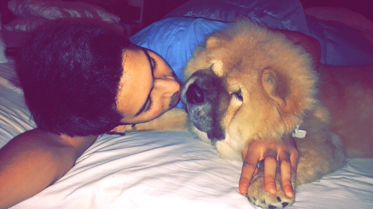 ArmaanMalik22's tweet photo. On #WorldAnimalDay here is my precious furball ❤️😍 @iamhandsome08 https://t.co/TJipPs9iGh