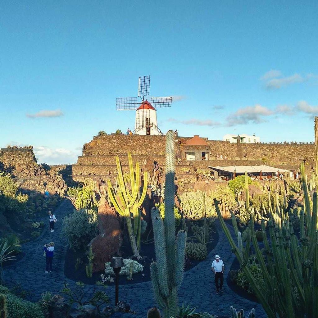 voiajacom's tweet photo. #Jardín de #Cactus para todos aquellos que les gusta conocer 10.000 plantas de cactus entre más de 1.200 especies … https://t.co/Crk7mFUEuo https://t.co/hdSdbIevfp