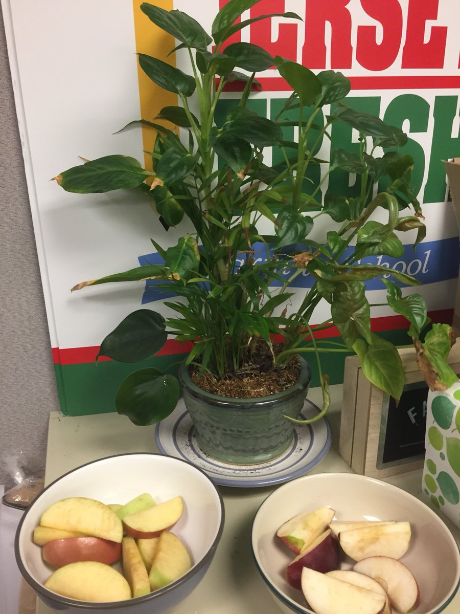 farmtoschoolnj's tweet photo. We may be at work, but #JerseyTastes! is what’s going on. Find some New Jersey apples and get tasting! @FarmtoSchool Month @JerseyFreshNJDA https://t.co/M5gTfWCLEo