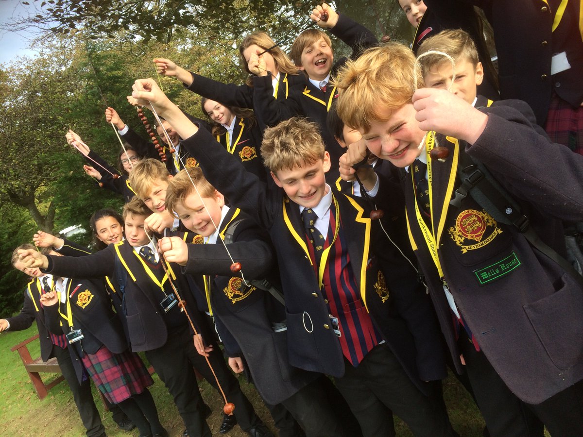 Buckswood_UK's tweet photo. Its time for the annual conker fight! https://t.co/8YV4axzwNR
