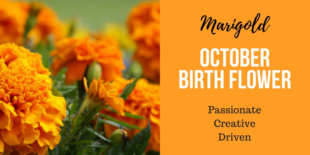 Discover your birth flower and what it says about you >bit.ly/B1r7hFlwr5