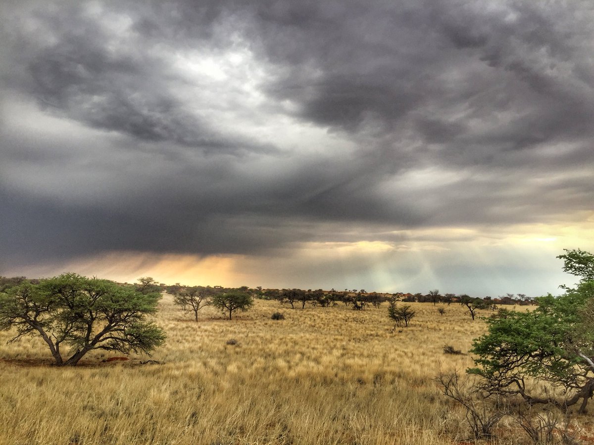 Nabasboer's tweet photo. Best time in #Namibia for Namibians. Rain season ...🇳🇦 https://t.co/4gwLDRvDgy