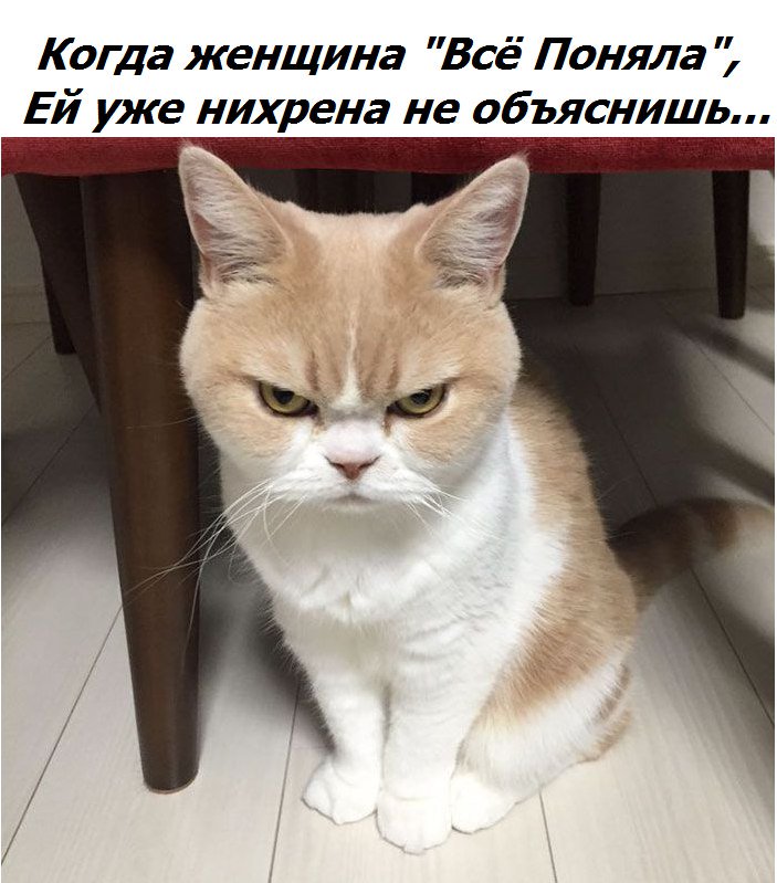 Мария (@mashyle4ka1231) on Twitter photo 