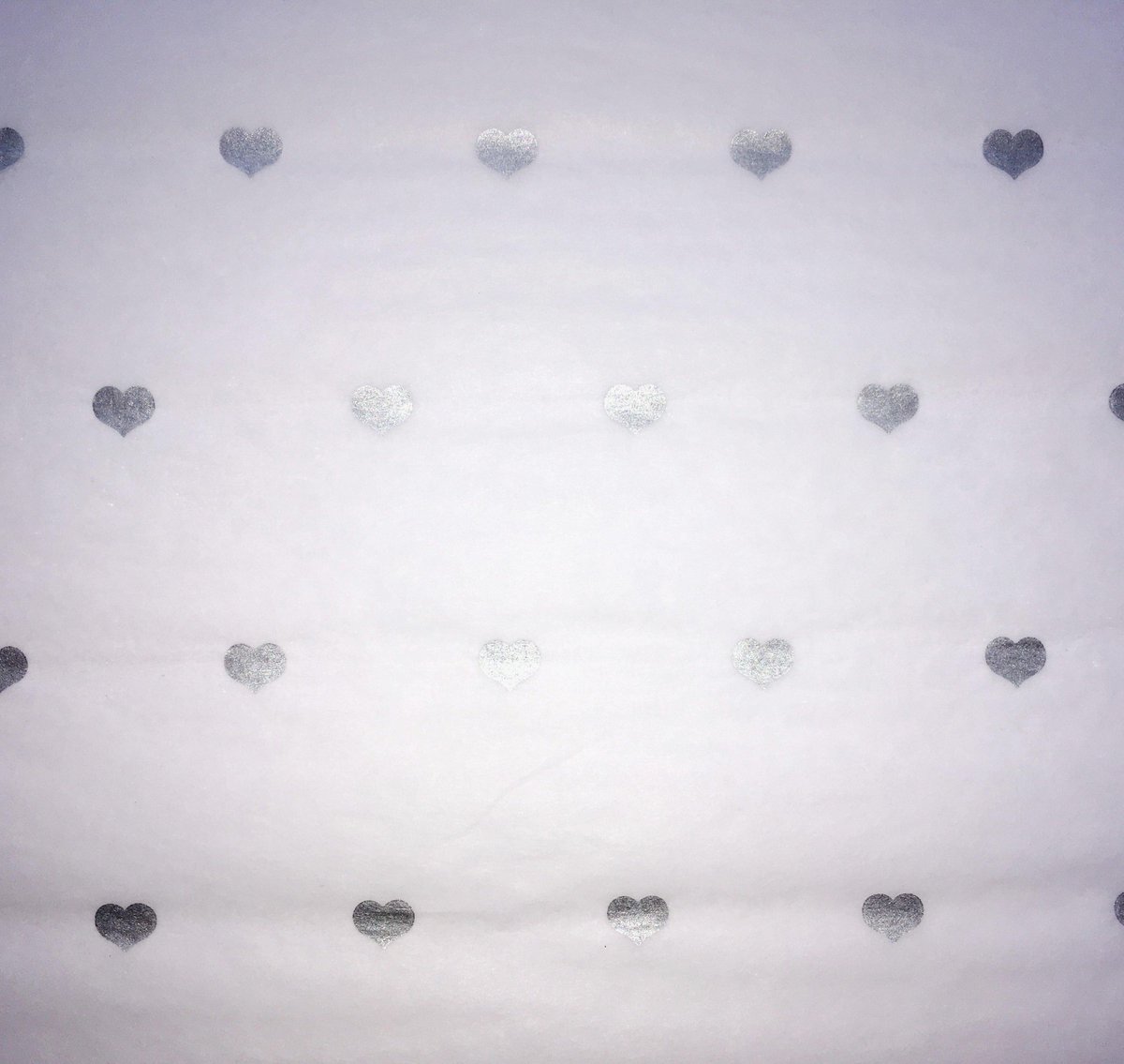 Roach Bridge Tissues tweet media