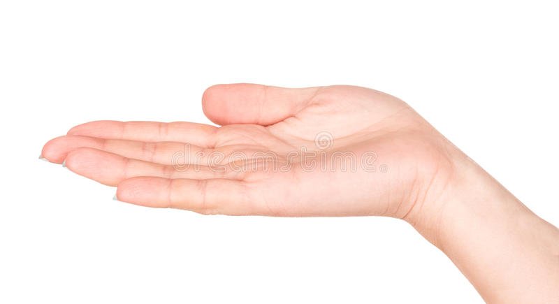 Michel P. 🙈🙉🙊 tweet media