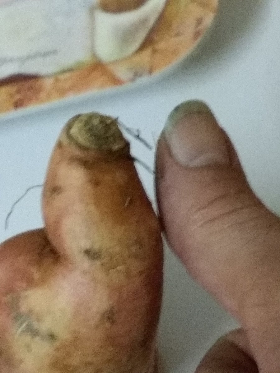 Small Towns tweet media