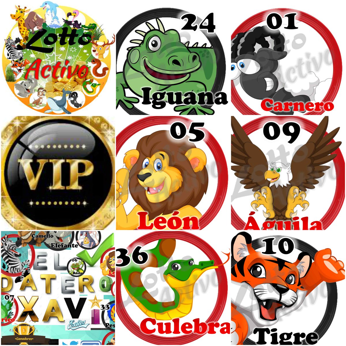 ligadateros2018's tweet photo. #DATAZOSVIP
MIERCOLES 04/10/17:
DIAMANTES:24-01
ORO:05-09
PLATA:36-10
exitos #GanadoresVIP https://t.co/ZakHZqcyrC
