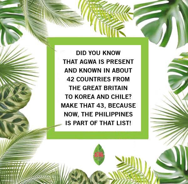 AGWAPhilippines's tweet photo. Glad to finally be part of this list! PHILIPPINES, ARE YOU READY FOR THIS KINDA HIGH? 🍃 #AGWA #AGWAPH #AGWABUZZ https://t.co/Nku7PzSjp1