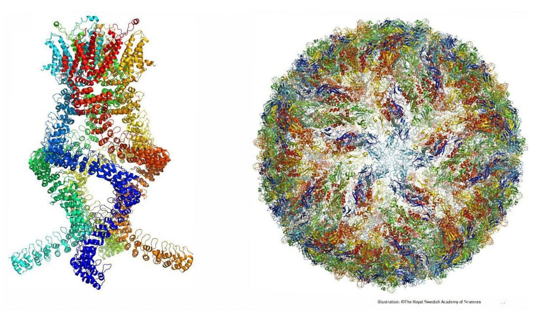 chemiewijs's tweet photo. Nobelprijs voor scheikunde naar cryomicroscopie (bericht door @nrcwetenschap) https://t.co/6DdhpCu4Ya https://t.co/6VtZrt6Fbs